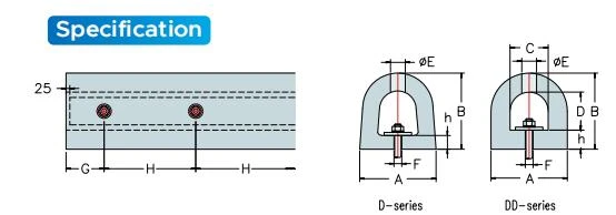 D11 D11